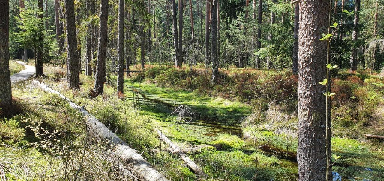 Eco Domek Z Duzym Ogrodem I Widokiem Murzasichle Exterior photo
