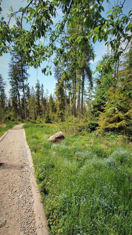 Eco Domek Z Duzym Ogrodem I Widokiem Murzasichle Exterior photo